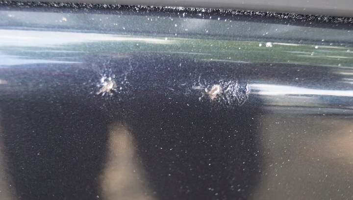 фото №13, Дверь правый перед mercedes vito w639