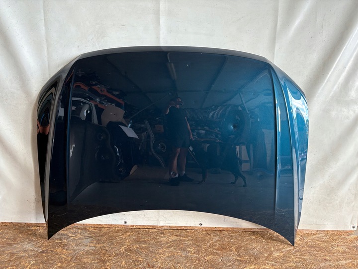 фото №1, Капот крышка двигателя vw tiguan allspace 5nn 5nn823031b