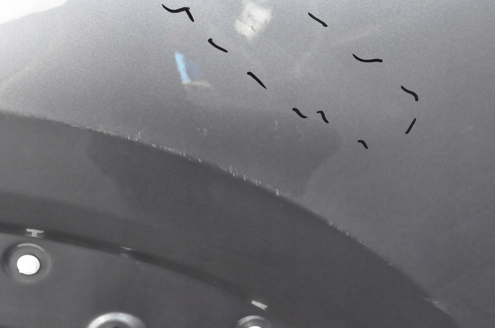 фото №14, Nissan juke f16 дверь правые зад задние kadg