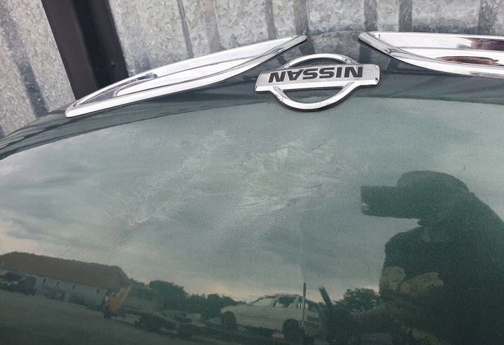 фото №6, Капот крышка nissan primera p11 dv9