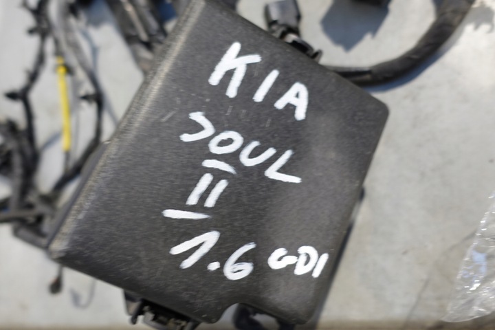 фото №11, Kia soul ii 1.6gdi джгут корпус запобіжників