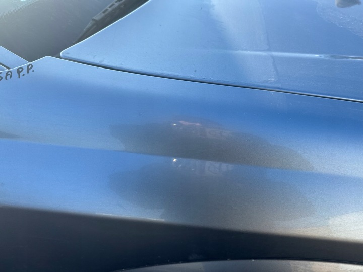 фото №7, Opel signum крило праве передній перед 4au z163