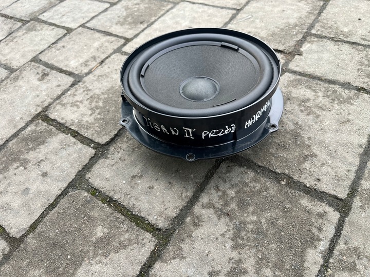 фото №1, Vw tiguan ii 5na динамик дверь перед