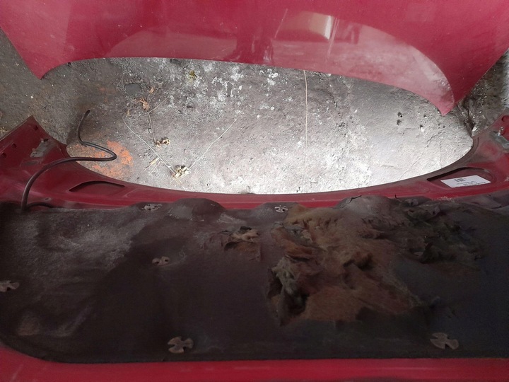 фото №10, Капот передня chevrolet pt cruiser bordo _04