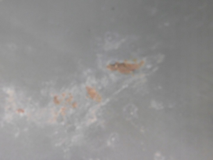 фото №6, Крыло переднее левый mazda tribute ep 2003r 2.0b