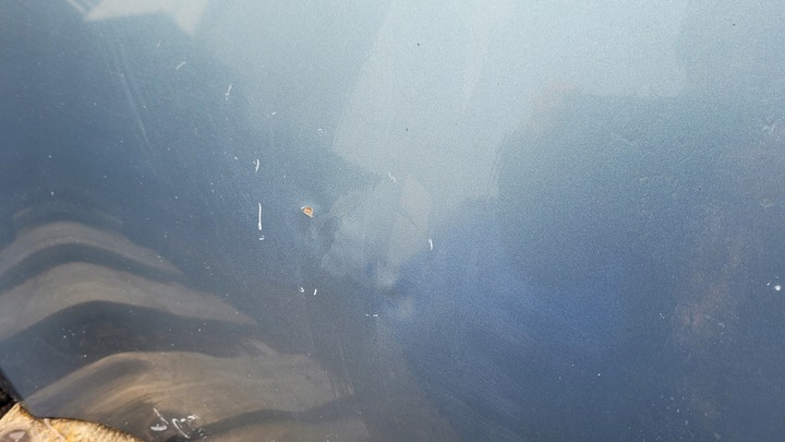 фото №11, Seat toledo iii 2005 капот