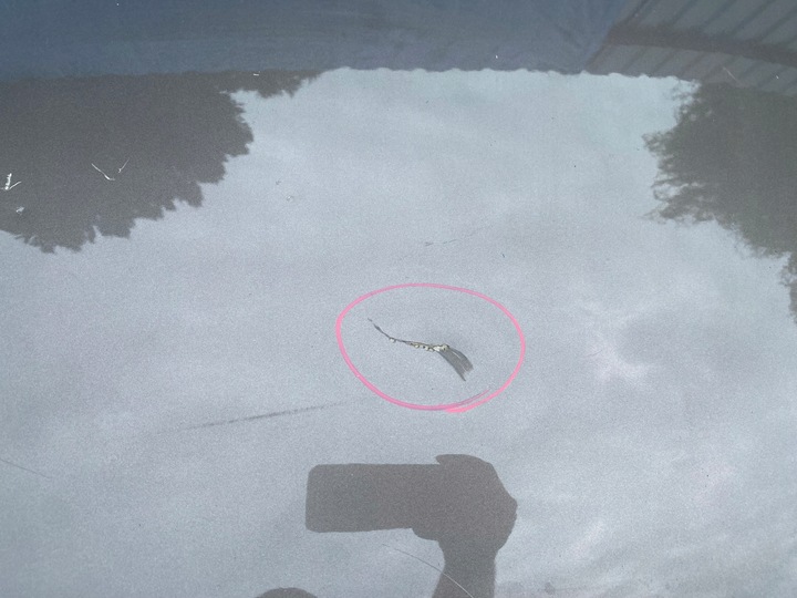 фото №13, Audi a4 b8 рестайлинг 2012-15 капот крышка двигателя