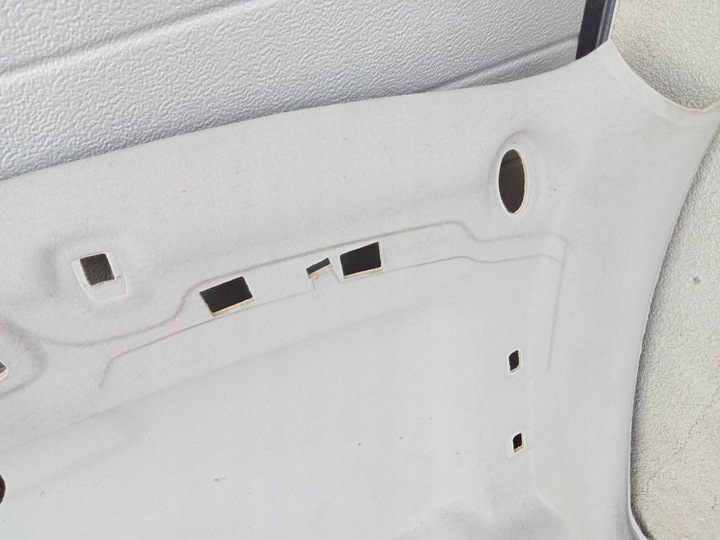 фото №3, Ford transit connect mk2 2014- стеля