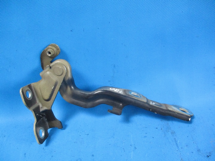 фото №1, Петля капота правий orlando