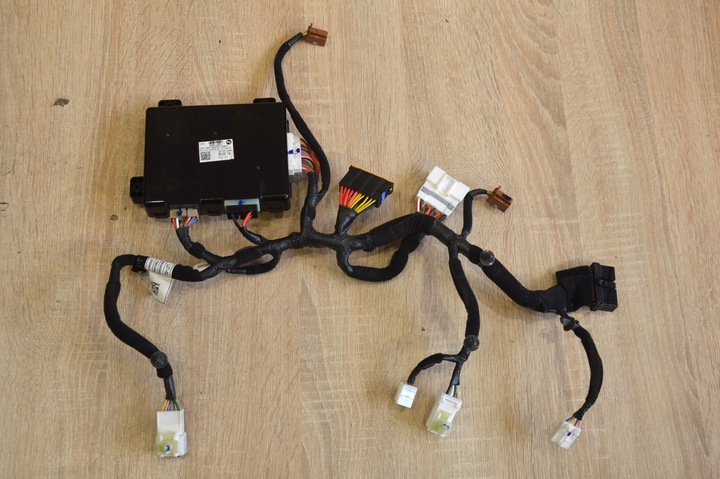 фото №1, Джгут модуль блок керування assy-memory stinger