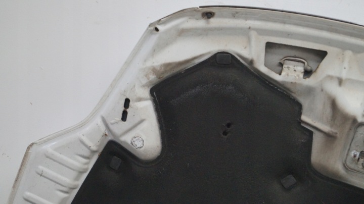 фото №12, Капот ford kuga i 58
