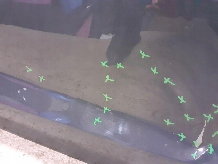 фото №8, Двері передні перед праві audi a3 8v5 sedan 2013-2019r