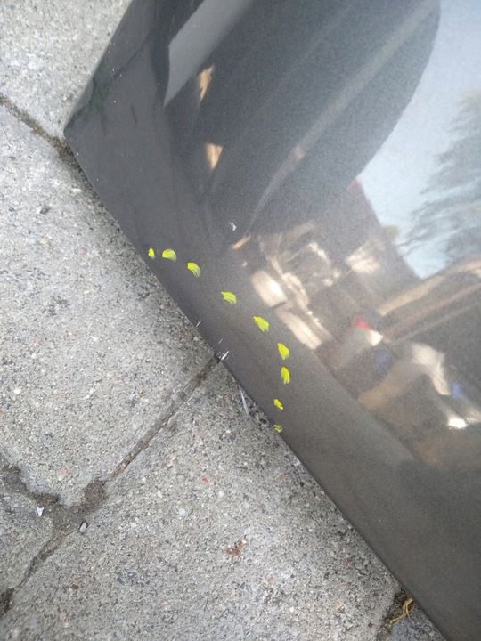 фото №7, Крило праві перед vw tiguan 5n0 i 2007-2016