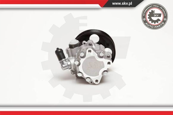 фото №13, Насос підсилювача 10skv098 / 4007.s0 / d