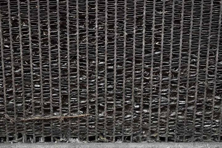 фото №8, Радиаторов воды mazda 2 de 1.4 citd 68 km 07-10