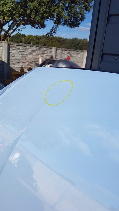 фото №9, Audi a5 8w ls9r белая жемчуг капот крышка двигателя красивая демонтаж