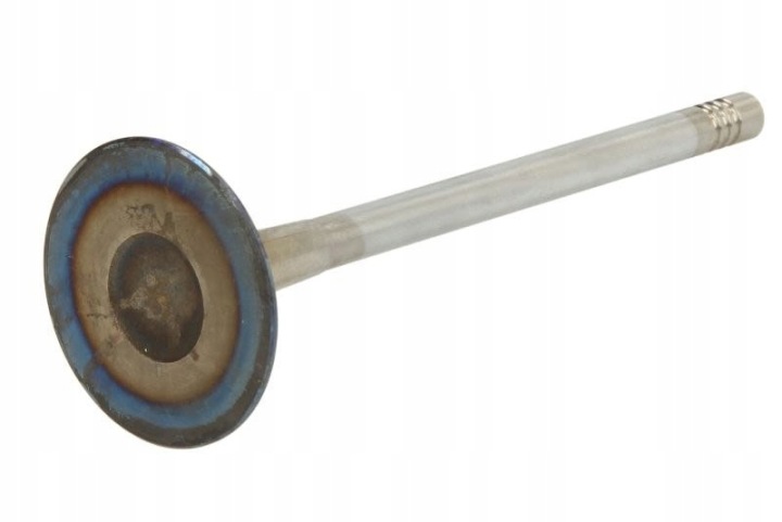SOUPAPE ADMISSION FRECCIA R6900/SCR g0ym36