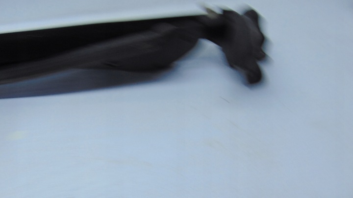 фото №6, | mercedes w207 прокладка дверь правая + стекло