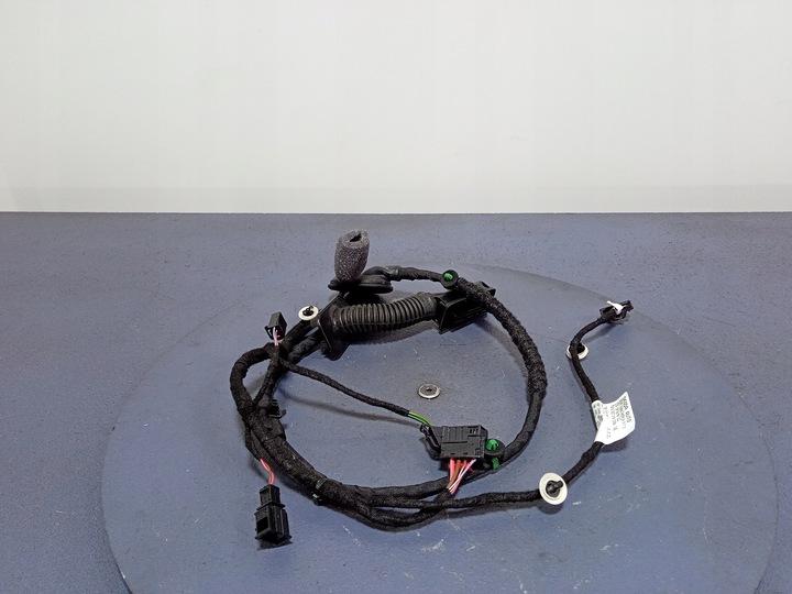 фото №1, Octavia iv джгут двері праві зад 5e3971694ag