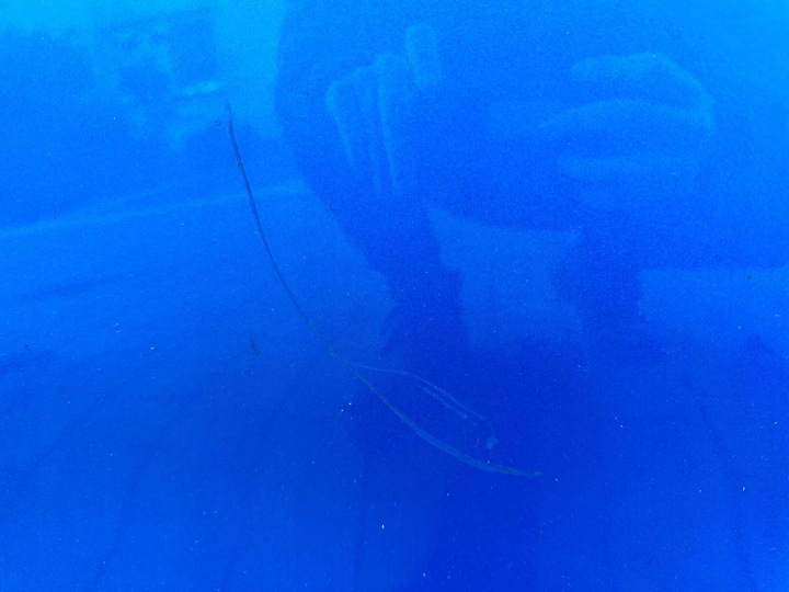 фото №7, Peugeot 2008 ii 2 19- двері праві передні перед задні зад комплект