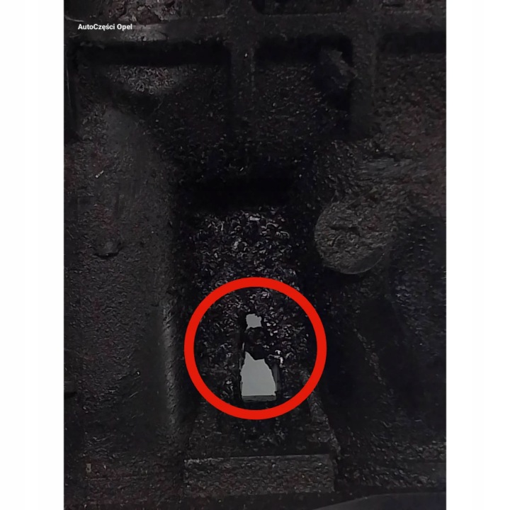 фото №5, Opel antara 2.2 z22d1 колектор впускний  25189093
