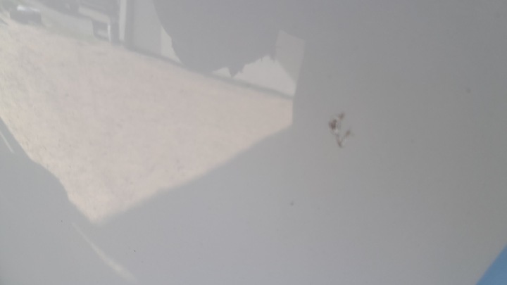 фото №10, Audi a4 b9 рестайлинг 8w0 капот крышка двигателя 15-24 идеальная цвет oe!