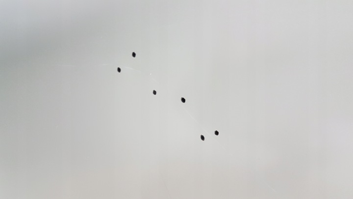 фото №6, Двері зад праві mg marvel 20- нове