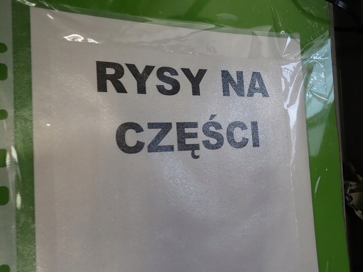 фото №12, Крыло правые переднее audi a2 01r