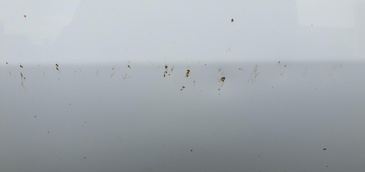 фото №6, Дверь левый перед kia sportage iv lak.wd