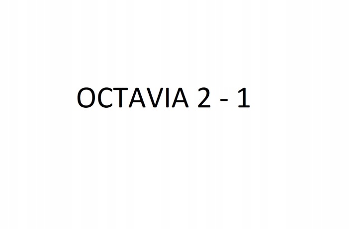 фото №8, Радио навигация skoda octavia ii рестайлинг 1.6 tdi