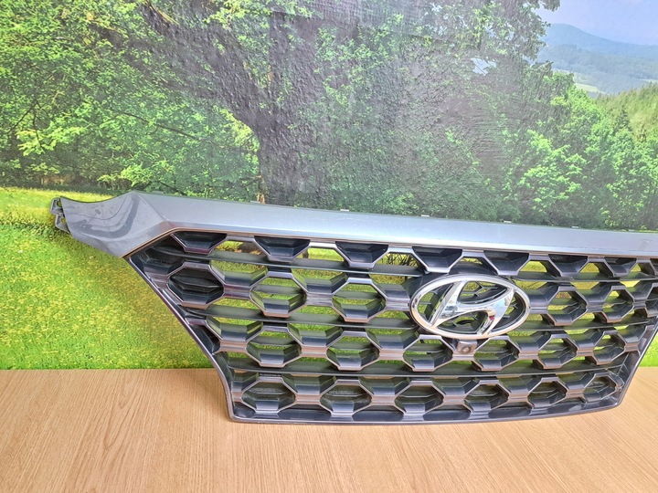 фото №6, Hyundai santa fe iv решітка