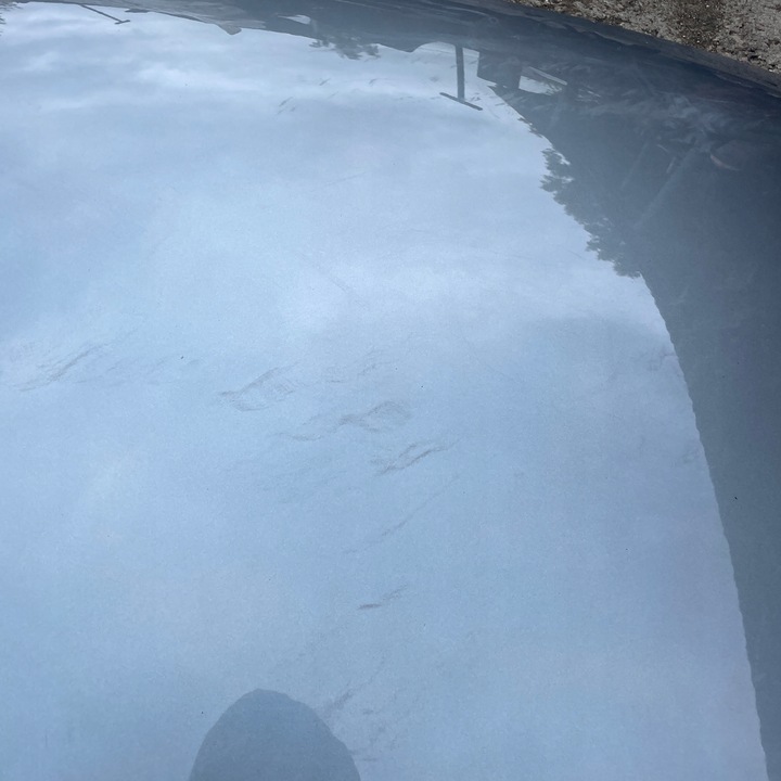 фото №14, Капот крышка двигателя volvo xc60 ii 2017-2025 31424557