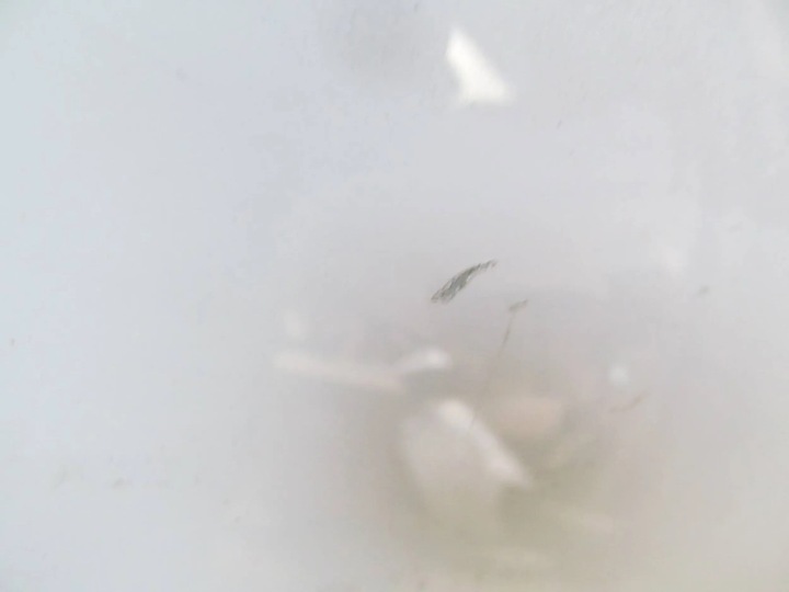 фото №16, Ford transit courier 14-23 дверь правые перед передние правые c410