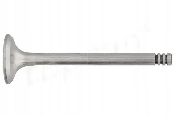 фото №1, Клапан випускний 100 615 topran seat vw arosa 6h1