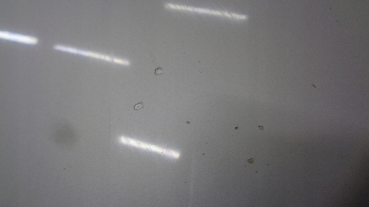 фото №5, Капот крышка двигателя 1g1 lexus ii is 220 05-12r