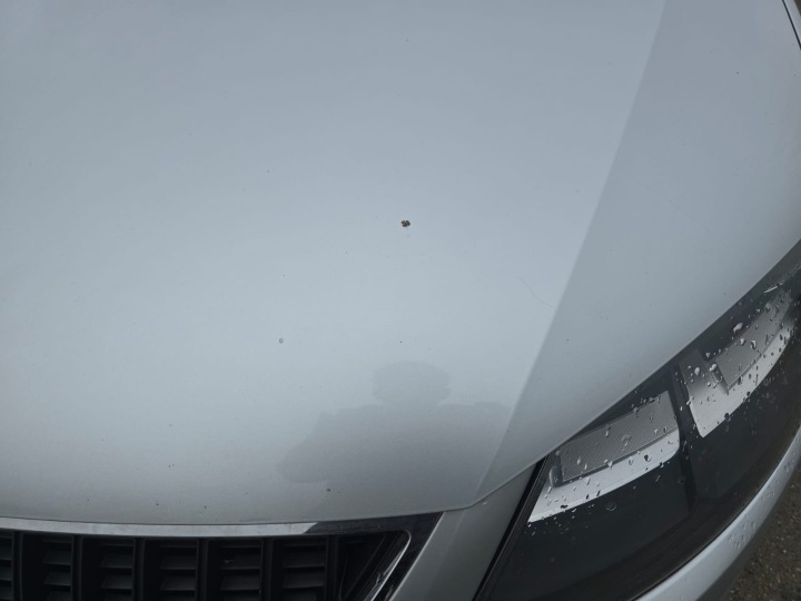 фото №8, Seat alhambra ii капот кришка двигуна [la7w]