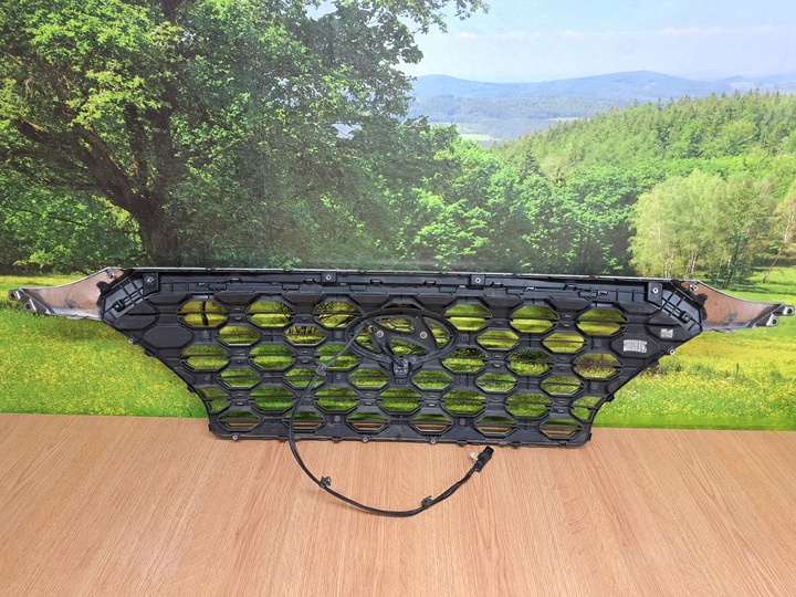 фото №12, Hyundai santa fe iv решітка