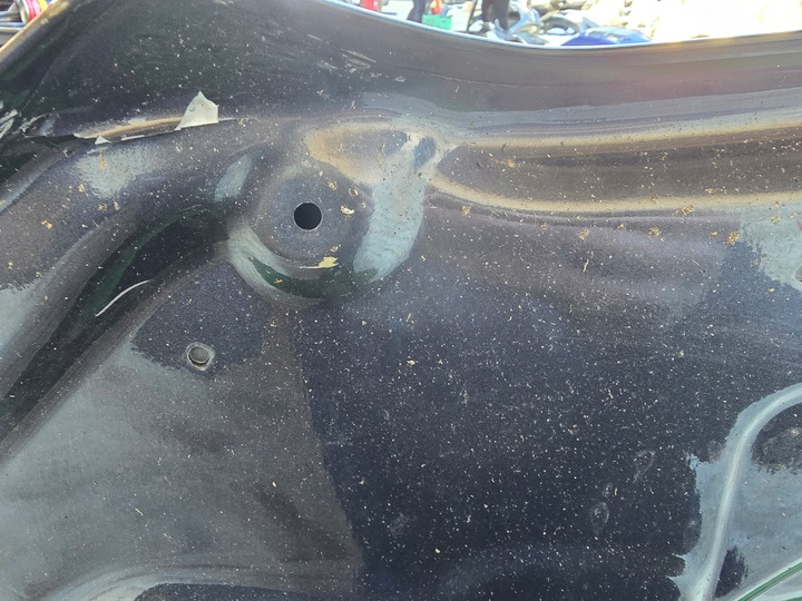 фото №7, Капот bmw x5 g05 x6 g06