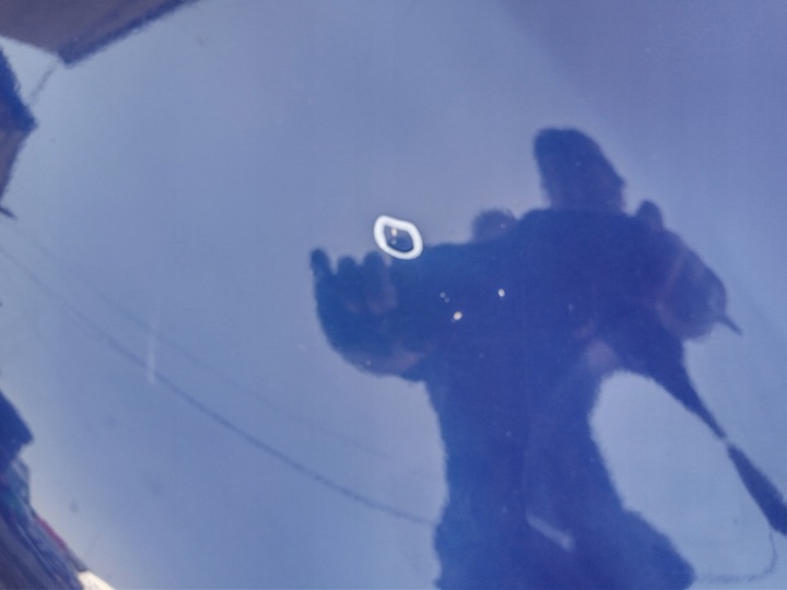 фото №7, Капот vw sharan i рестайлинг 00-03 синяя