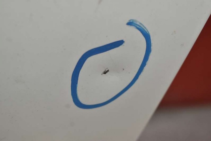 фото №7, Дверь левая перед передние 300 bmw x1 e84 рестайлинг м-пакет 12-15