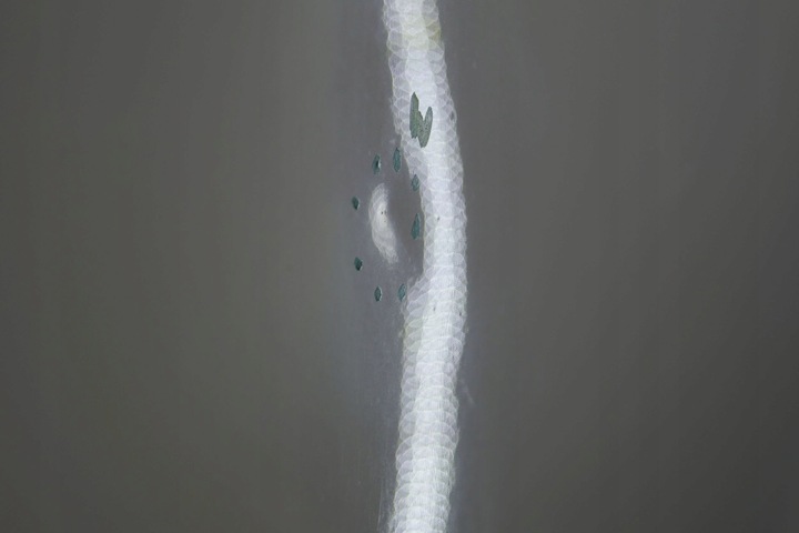 фото №12, Nissan note e11 рестайлинг дверь правые перед 326g d1827