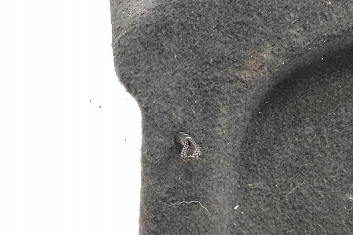 фото №7, Ролета багажника vw 5g6867769f 1.4l 2015