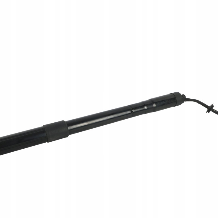 фото №9, Land rover range rover evoque l538 амортизатор кришки ліве праве bj32-70354-ac