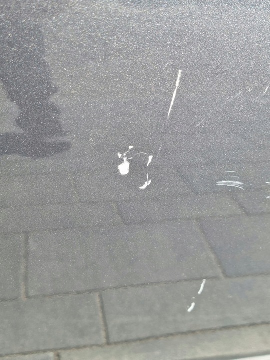 фото №5, Suzuki ignis iii двері праві передні перед