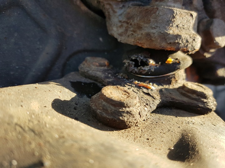 фото №7, Vw eos 06-10r 2.0 tdi амортизатор поворотна опора ліва перед