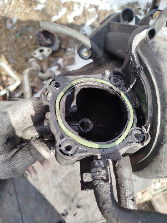 фото №6, Колектор всмоктуючий seat leon i 1.6 16v bby 036129711fa