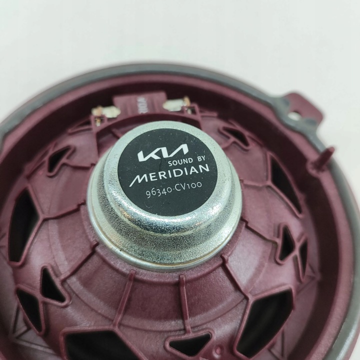 фото №5, Kia ev6 2023 динамик дверь задних