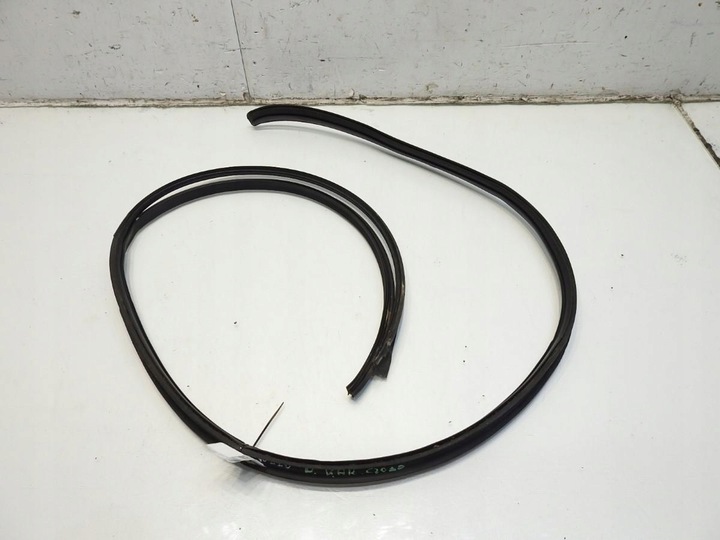 фото №9, Прокладка стёкла лобовой mercedes w220 a2206902698