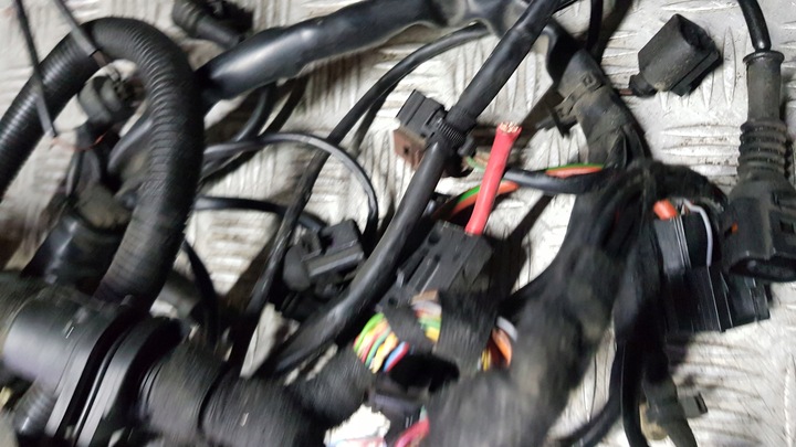 фото №13, Audi a8 d3 жгут двигателя 3.0 tdi 4e1971713s