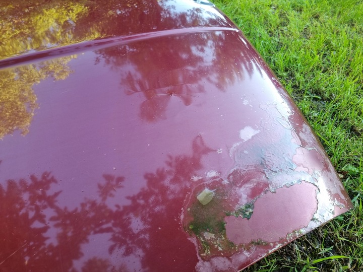 фото №10, Bmw e34 капот крышка двигателя